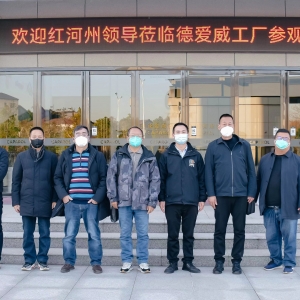 云南红河州政府领导一行莅临德爱威湖南岳阳工厂参观考察。